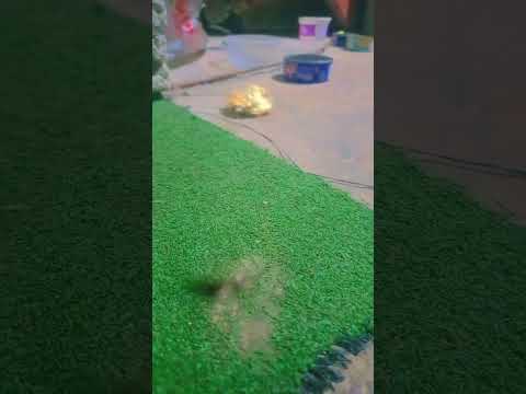 25 de noviembre de 2025