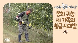 [나는농부다 220회 2부] 봉화 귀농 세 가족의 황금 사과밭