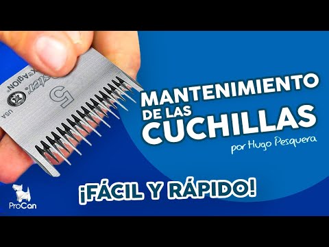 MANTENIMIENTO DE LA CUCHILLAS DE PELUQUERIA CANINA