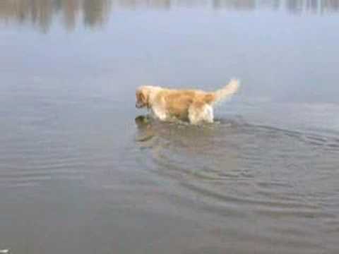 Timmy à la pêche aux goujons