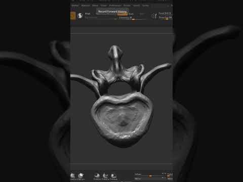 Lumbar Vertibrae Zbrush Sculpt Timelapse.