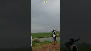 Download lagu Pertama kali Lepas Burung Macaw BnG dan Harlequin mp3