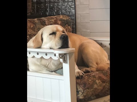 Don and Diane Shipley LIVE - March 28th 2000 EST Thumbnail