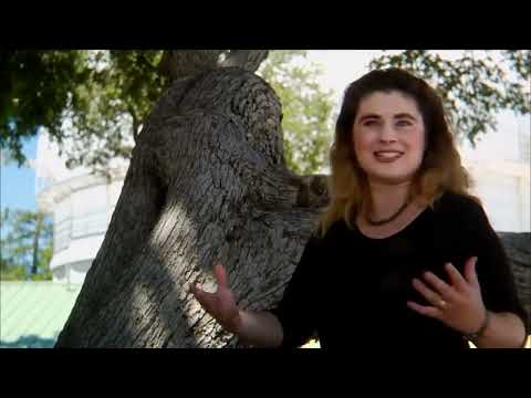 Documental (El Universo, la Velocidad de la Luz)