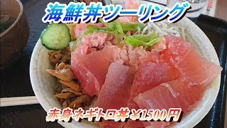 鳥羽　海鮮丼ツーリング　モトブログ　＠29