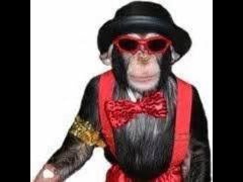 HUN BATZ SOLO = FREE WIN - SMITE Conquest Gameplay