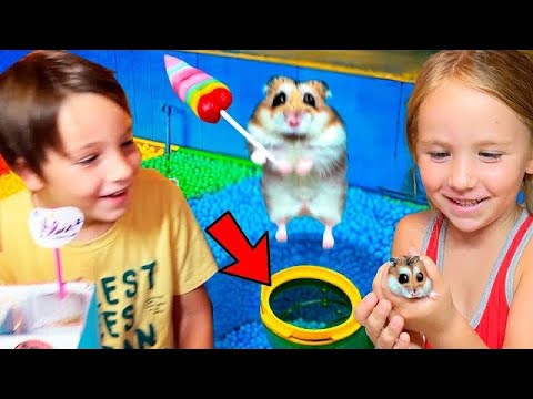 ¡CREAMOS un LABERINTO de HÁMSTERS Scape 🐹  y GATO quiere comerse a las NUEVAS MASCOTAS