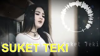 Download lagu Nella Kharisma - Suket Teki dangdut koplo mp3