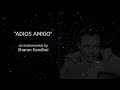 ADIOS AMIGO Instrumental
