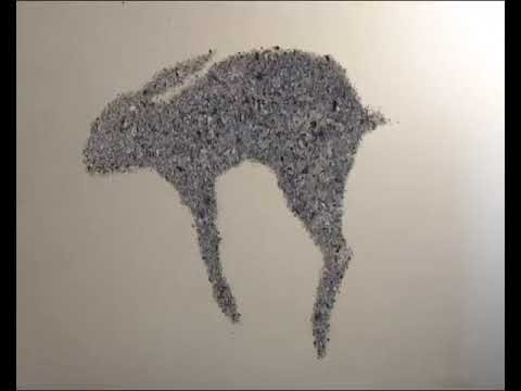 Hunting The Hare (Official)