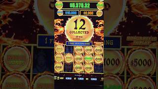 $1,000 Spin Dragon Link Bonus #slots #shorts #viral #jackpot