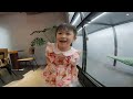 Chippy SINH NHẬT 5 TUỔI Bé Chippy Siêu Quậy Cùng Ba Chippy 3 Tuổi