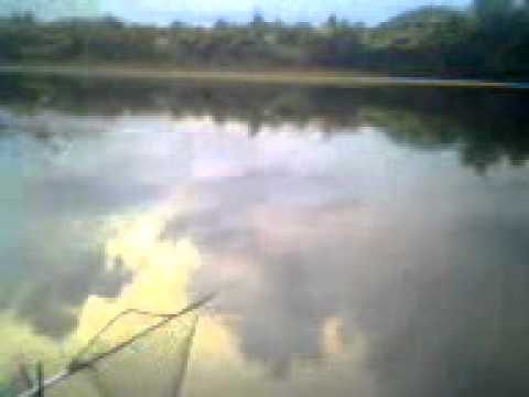 Pescarii de la Tranis 2011