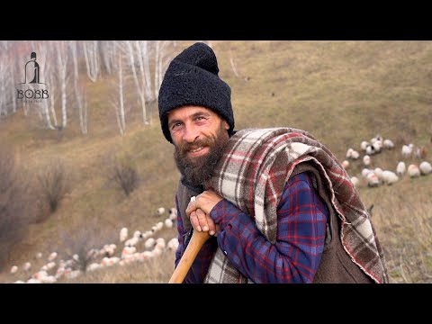 Marinel Ciobanasu' SINGUR într-un sat de munte IZOLAT | 18 câini ciobănești și oi BUCĂLĂI