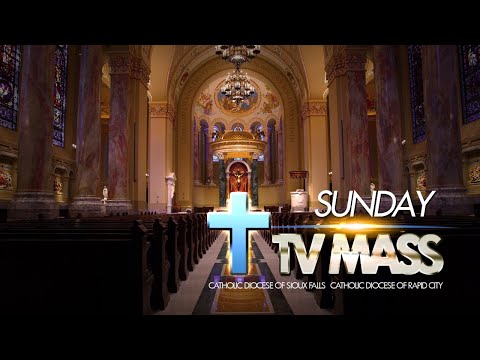 Sunday TV Mass - June 20 2021