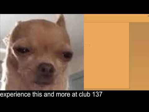 Club 137 Hypno Night