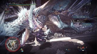 モンスターハンターワールド：アイスボーンPS5版_プレイ動画。王カーナはムリカーナ(泣)