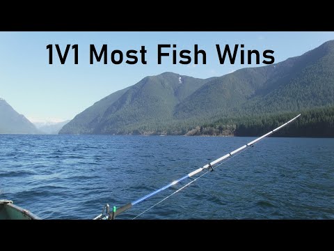 1V1 Most Fish Wins
