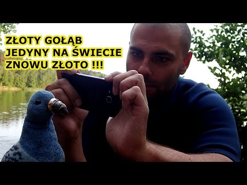 Kolejna wielka złota obrączka !!! Odc.124
