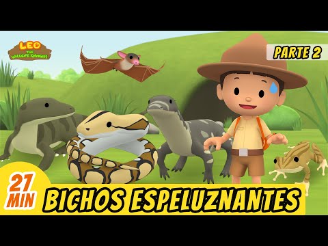 Bichos Espeluznantes Episodio Compilación [Parte 2/2] (Español) - Leo, El Explorador | Animación