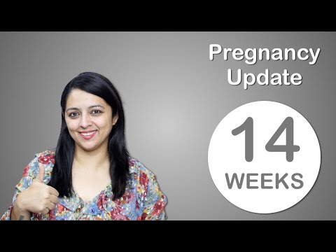 Week 14 Pregnancy Update | प्रेगनेंसी का चौदह हफ्ता कैसा होता है?