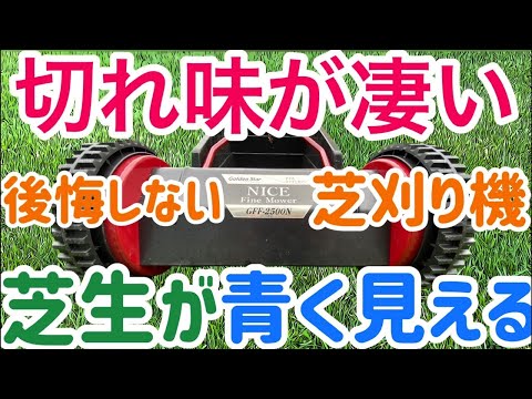 冬に芝刈りをするのは良いアイデアですか、それとも悪いアイデアですか?シンプルで実践的なアドバイスに従ってください。  庭園