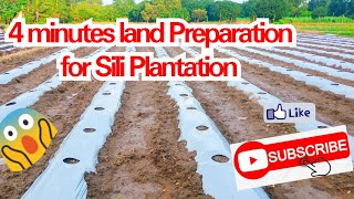 Farming Tips Land Preparation for Sili Farming