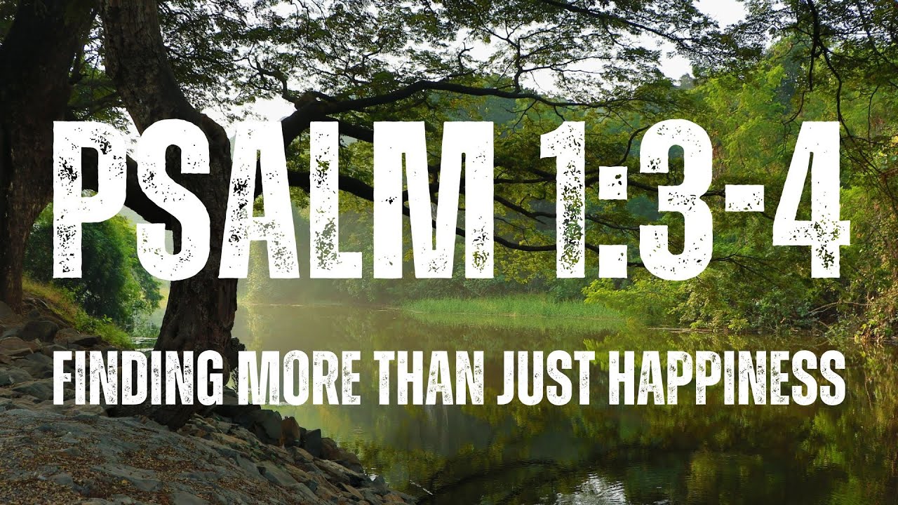 Finding more than just happiness - Psalm 1:3-4