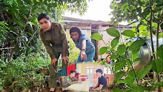 Mrs. Tuyet reports another chicken missing. Will Hoang Manh be able to find the mastermind?
