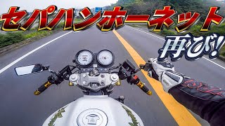 ホーネット600をセパハンにした！【モトブログ】