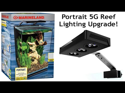 Portrait 5G Reef - Lighting Upgrade