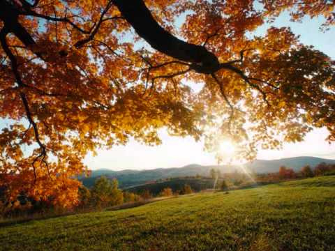 Mary, Kate & Jazz - Fly Me To The Moon