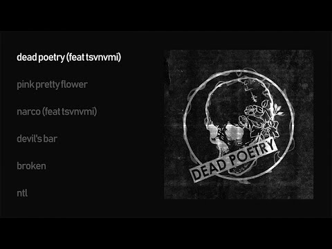 stereokid - dead poetry (official audio album)