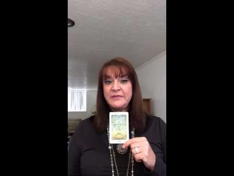 Suzanne Wagner - Seven of Cups - Debauch