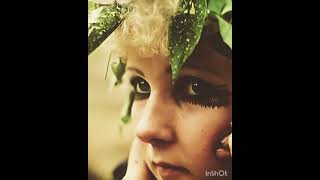 the strangest Girl acoustic - looper