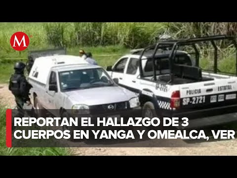 Encuentran 3 cuerpos sin vida en Yanga y Omealca, Veracruz