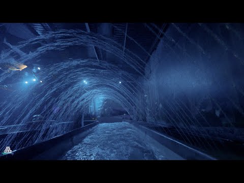 The Gruffalo River Ride Adventure - POV - Chessington World of Adventures