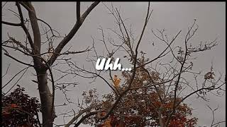 Mujer - Alux Nahual // letra