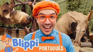Blippi e os Animais do Zoológico! 🦥 HORA DO BLIPPI BRASIL! 🟠  Vídeos Educativos para Crianças