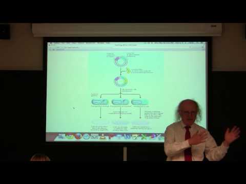 Ahern's BB 350 at OSU - Review for Exam 3