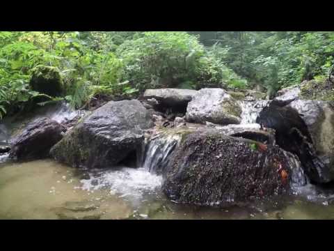 Valea Craiovei - Parcul Național Domogled Valea Cernei
