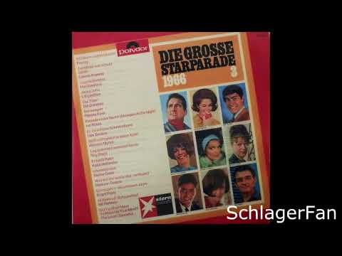 Brigitt Petry – So Vergeh'n Die Schönen Jahre - 1966