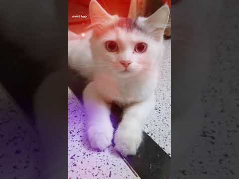 👌👌👌👌👌👌