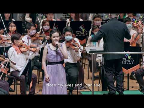 True Colors Symphony - 《大娛樂家》一百萬個夢想 A Million Dreams from The Greatest Showman