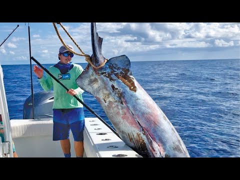 Amazing Longline Giant Bluefin Tuna and Black Marlin - Strongest Biggest Fish Ever Caught #02