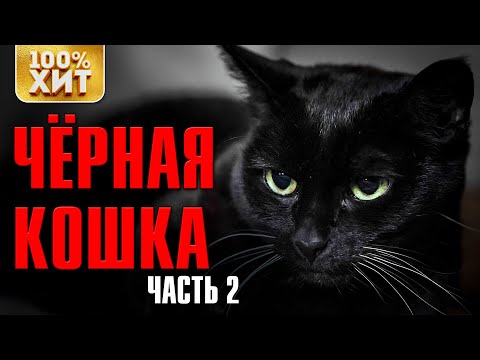 Блатная Лирика - Чёрная кошка 2 - Лирика Шансона 2020