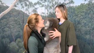 preview picture of video 'Rachel, Caitlin and Rachel at Cleland Wildlife Park, South Australia'