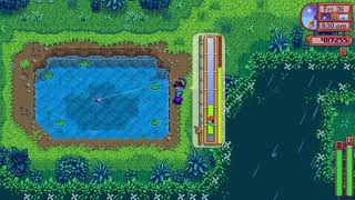 How to catch a Catfish fish in Stardew Valley