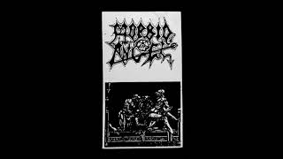 Morbid Angel - Hellspawn