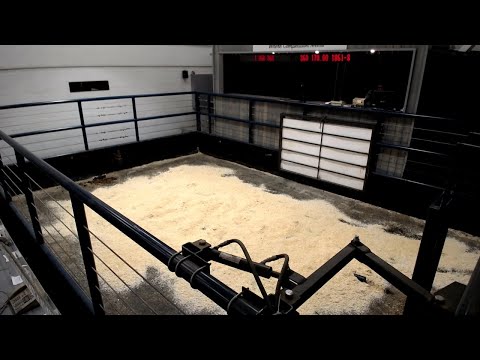 Cattle Sale January 5, 2021